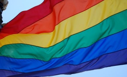 Ungaria, sub focul criticilor europene pentru legea care interzice ”promovarea” homosexualităţii în rândul minorilor