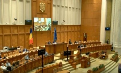 Cameră: Deputaţii trebuie să prezinte obligatoriu un CV, la începutul mandatului, care va fi publicat pe site-ul instituţiei