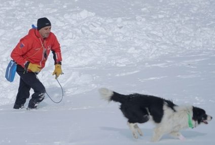 „Apropieri”, un film cu salvatori montani și câini de avalanșă, nominalizat la Premiile Gopo 2021