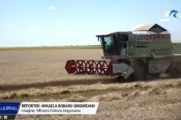 Recolte bune: combinele au intrat în lanurile de orz și orzoaică, urmează grâul