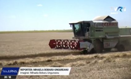 Recolte bune: combinele au intrat în lanurile de orz și orzoaică, urmează grâul