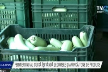 Fermierii din Olt nu au cui să-și vândă legumele și le donează sau le aruncă cu tonele. Asociațiile cer ajutorul Guvernului