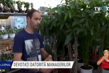 Angajați români devotați managerilor – care e secretul?