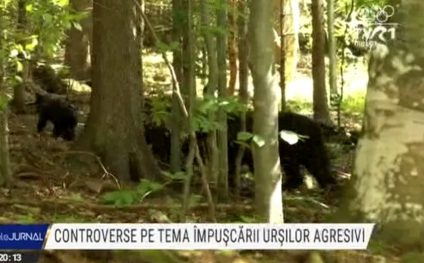 Controverse pe tema împuşcării urşilor agresivi. ONG-urile au depus petiții, primarii au nemulțumiri