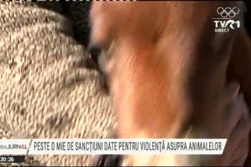 Sancțiuni după agresiuni asupra animalelor