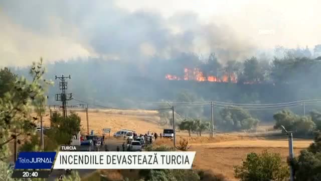 incendii-de-vegetatie-in-turcia,-grecia-si-serbia.-temperaturile-extrem-de-ridicate-au-uscat-vegetatia,-iar-vantul-imprastie-flacarile