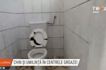 Centrele groazei, pentru persoanele cu dizabilități: saloane cu gândaci, podele curățate cu mopul clătit în veceu