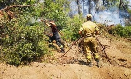 Acţiunea pompierilor români continuă în zona Spathari din insula grecească Evia