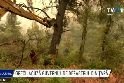 Grecii acuză guvernul de dezastrul din ţară. Premierul a recunoscut greşelile Executivului şi a promis că vor fi identificate şi remediate