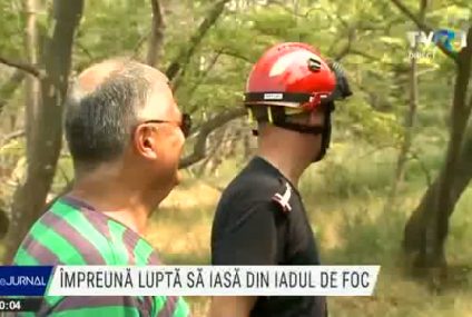 #JurnalDinLuptaCuFocul | În faţa flăcărilor, pe insula Evia, oamenii şi-au unit forţele. Pompieri şi voluntari încearcă să stingă focul care aduce moartea