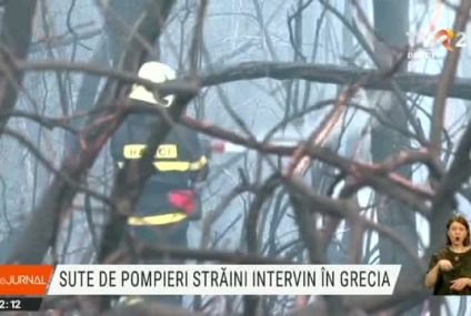 Sute de pompieri străini intervin în Grecia. Echipele străine participă la intervenții în trei regiuni: Attica, Peloponez și Evia