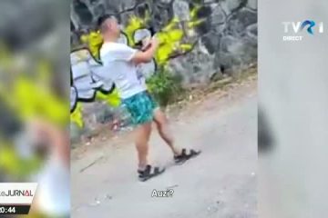 Un urs a alungat un turist care apropiase prea mult ca să-l fotografieze