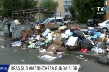 Alba Iulia a devenit un oraş sub ameninţarea gunoaielor