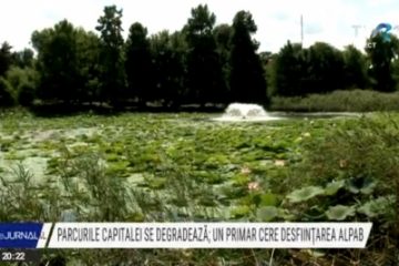 Tot mai multe parcuri neîngrijite în Bucureşti. Primarul Sectorului 2 cere desființarea ALPAB