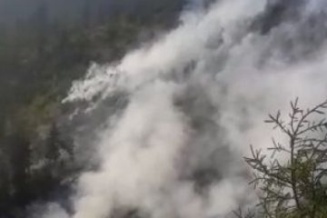 Incendiu de pădure în Vârful Folea din Munții Căpățânii