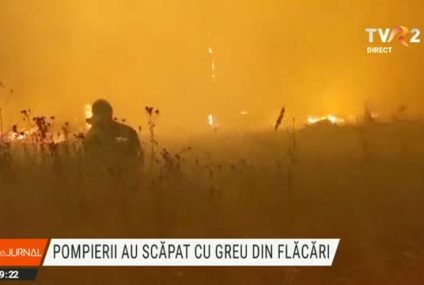 Incendii de vegetație în Siberia, cele mai mari din istoria Rusiei