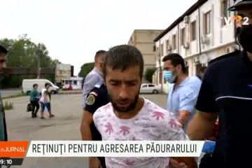 Trei persoane au fost reținute pentru agresarea pădurarului din Dâmbovița. Ministrul Mediului le-a mulțumit public celor care sunt în prima linie a luptei cu hoţii de lemne