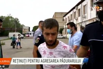 Trei persoane au fost reținute pentru agresarea pădurarului din Dâmbovița. Ministrul Mediului le-a mulțumit public celor care sunt în prima linie a luptei cu hoţii de lemne