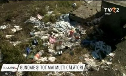 Halte CFR insalubre în București