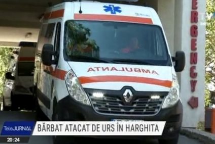 Un bărbat a ajuns la operație după ce a fost atacat de un urs la o stână din Siculeni