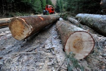 Cel puţin 227 de ecologiști au fost asasinaţi în 2020. Pentru al doilea an consecutiv, Columbia se clasează în fruntea macabrului clasament