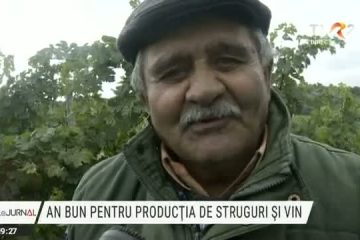 An bun pentru producția de vin şi struguri. Vinul ar putea fi mai scump în magazine