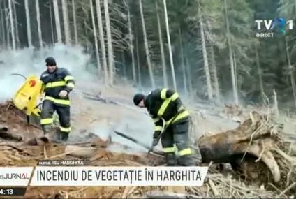 Cinci hectare de pădure din judeţul Harghita, afectate de un incendiu