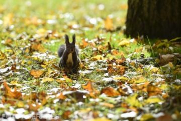 Vremea va deveni caldă în a doua jumătate a acestei săptămâni, cu temperaturi maxime care vor ajunge la 22 de grade