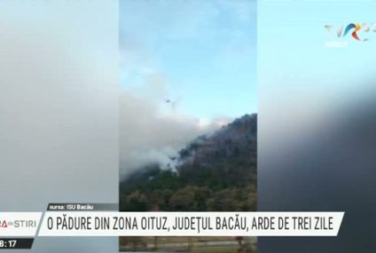 Pompierii luptă de trei zile cu un incendiu de pădure în Oituz. În zonă există și muniţie neexplodată din timpul războiului