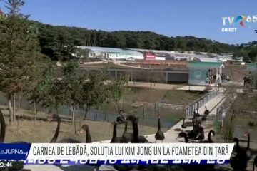 Coreea de Nord: Kim Jong Un îndeamnă poporul să mănânce lebede negre. Foametea din țară a fost accentuată de pandemie și sancțiunile internaționale