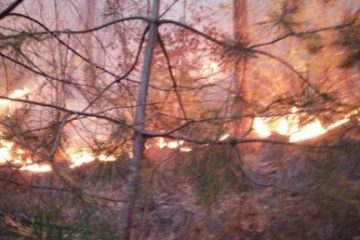 Pompierii intervin pentru a patra zi la stingerea incendiului forestier din Oituz. Aproape 20 hectare de pădure sunt afectate