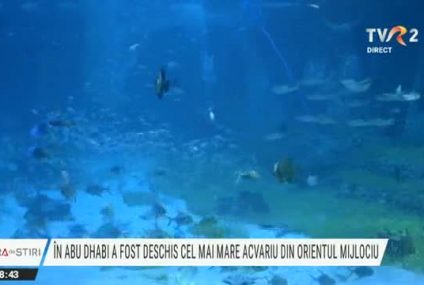 În Emiratele Arabe Unite a fost deschis publicului cel mai mare acvariu din Orientul Mijlociu