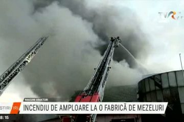 Incendiu puternic la o fabrică de mezeluri din Olt. Au intervenit peste 60 de pompieri