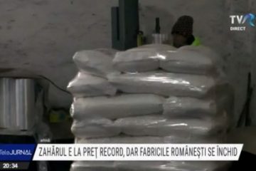 Zahărul e la preț record și consumăm din import. Fabrica de la Bod, cea mai veche din țară, intră în faliment. Cultivatorii de sfeclă cer ajutorul statului