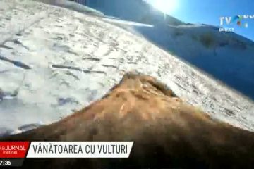 Concurs de vânătoare cu vulturi în Kazahstan. Acvila de munte este una dintre cele mai cunoscute și răspândite păsări de pradă