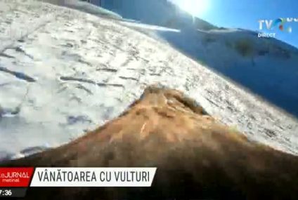 Concurs de vânătoare cu vulturi în Kazahstan. Acvila de munte este una dintre cele mai cunoscute și răspândite păsări de pradă
