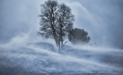 Avertizări de viscol în zone montane din judeţele Caraş-Severin şi Hunedoara; ceaţă în judeţele Bihor, Arad şi Timiş