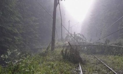 Trenuri întârziate din cauza copacilor căzuți pe liniile de tensiune. A fost afectată circulația a șase garnituri