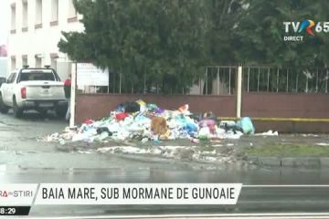 Orașul Baia Mare, sufocat de gunoaie. Localnicii sunt victimele unui conflict între primărie, firma de salubrizare și o asociație de colectare a deșeurilor