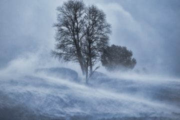 Cod galben de vânt puternic în zona montană din 10 judeţe