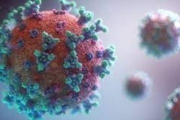 OMS: Peste 2 milioane de infectări cu coronavirus s-au înregistrat la nivel global în ultimele 24 de ore