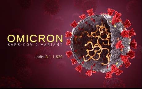 insp:-varianta-omicron-a-virusului-sars-cov-2,-transmitere-comunitara,-sustinuta,-la-nivel-national