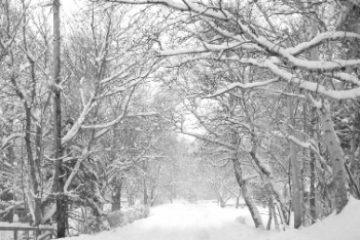 Temperatura a coborât până minus 20 de grade în județul Sălaj. Localitatea Camăr, ”polul frigului” în România