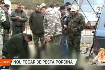 Focar de pestă porcină într-un fond de vânătoare din Caraș-Severin