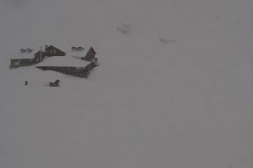 Cea mai scăzută temperatură înregistrată astăzi: minus 20 de grade, la Dumbrăveni. Cea mai mare zăpadă: 2,2 m, la Bâlea