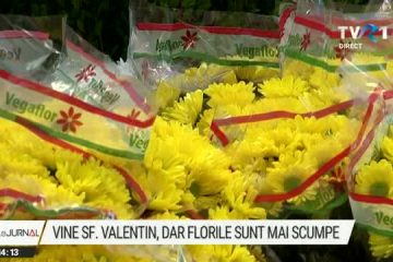 Iubire și inflație. Florarii din SUA fac calcule de Ziua Îndrăgostiților