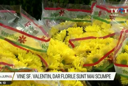 Iubire și inflație. Florarii din SUA fac calcule de Ziua Îndrăgostiților