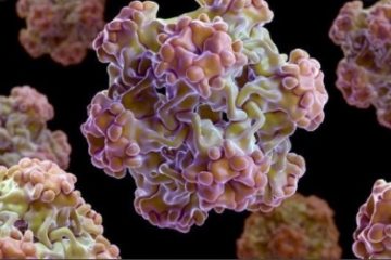 Vaccinul anti-HPV ar putea fi reintrodus în Programul naţional de vaccinare, a declarat ministrul Sănătății, Alexandru Rafila