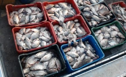 ANPC: Peştele şi produsele din peşte nu trebuie achiziţionate din locuri neautorizate