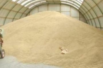 Aproape 25 de milioane de tone de cereale sunt blocate în Ucraina. Oficial FAO: În pofida războiului, recolta nu arată rău